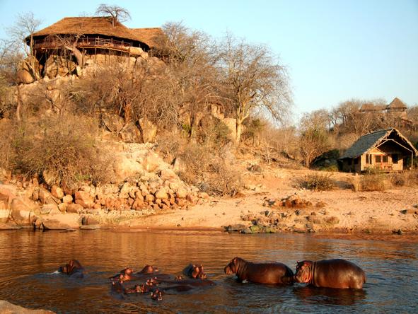 Ruaha River Lodge - Wildlife 